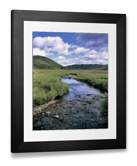 Framed Print : USA, Utah, Uinta NF. Birds flock over a small mountain stream that flows out of the Uinta NF