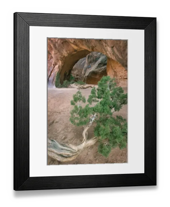 Framed Print : Navajo Arch, Arches National Park, Utah, USA