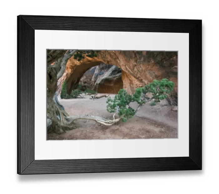 Framed Print : Navajo Arch, Arches National Park, Utah, USA