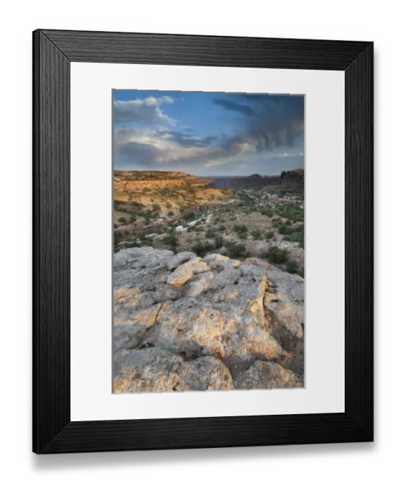 Framed Print : View from the canyon rim, Island in the sky district, Canyonlands National Park, Utah