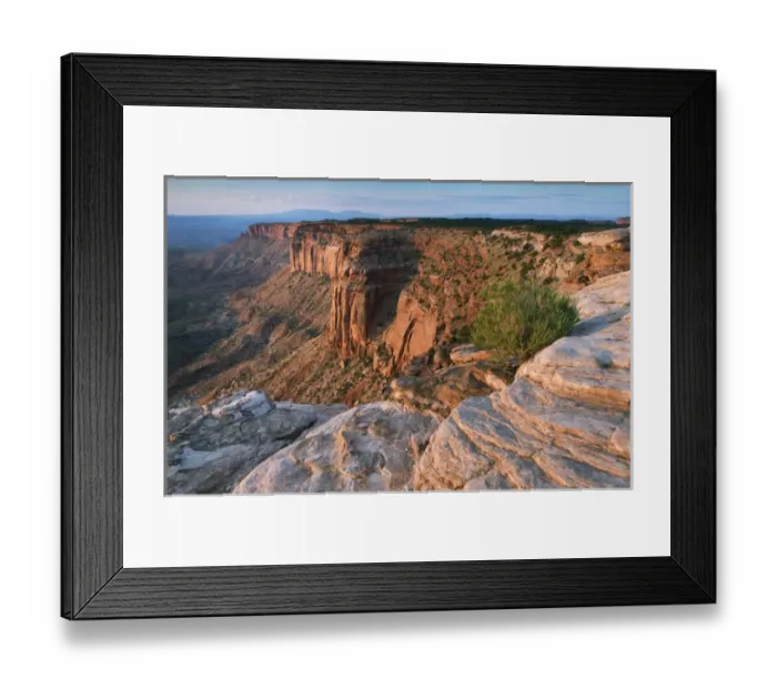 Framed Print : Canyon overlook in the Island in the sky district, Canyonlands National Park, Utah, USA Framed Print : Canyon overlook in the Island in the sky district, Canyonlands National Park, Utah, USA
