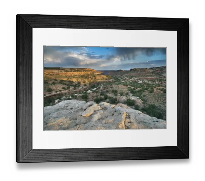 Framed Print : View from the canyon rim, Island in the sky district, Canyonlands National Park, Utah