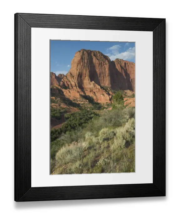 Framed Print : Kolob Canyon, Zion National Park, Utah, USA