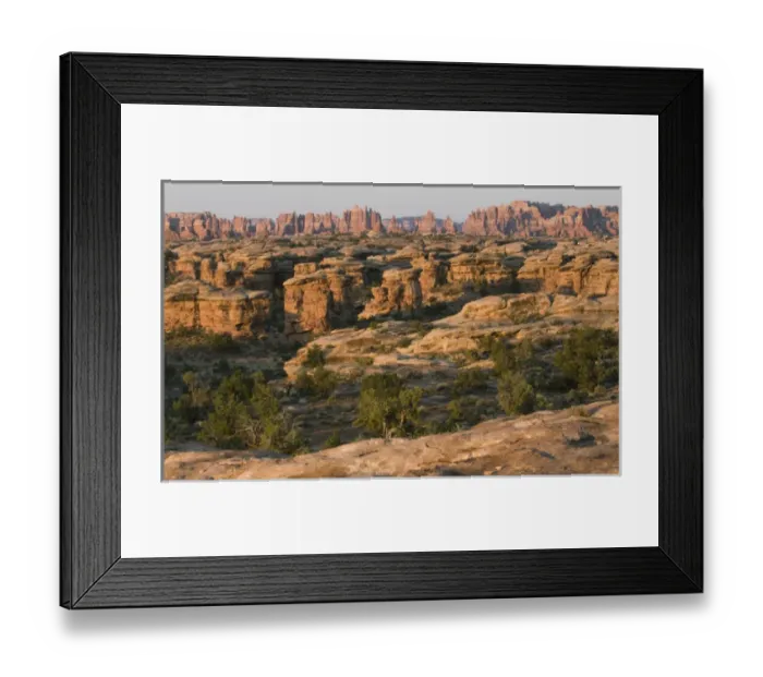 Framed Print : Rock formations in The Needles district, Canyonlands National Park, Utah, USA