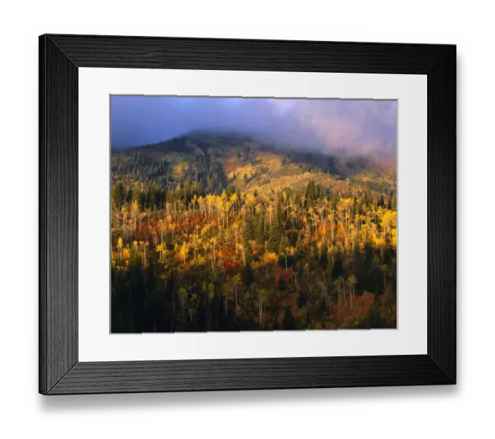 Framed Print : UTAH, USA. Slopes of Bountiful Peak in autumn. Wasatch Mountains. Wasatch-Cache National Framed Print : UTAH, USA. Slopes of Bountiful Peak in autumn. Wasatch Mountains. Wasatch-Cache National