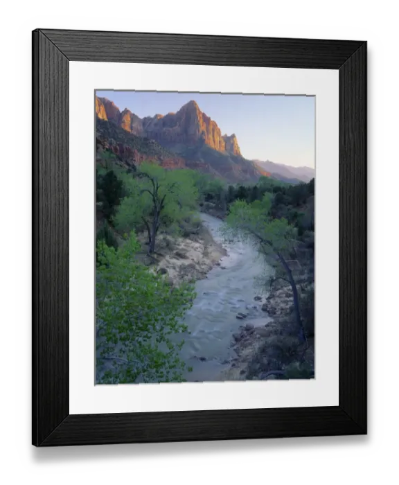 Framed Print : ZION NATIONAL PARK, UTAH. USA. The Watchman at sunset above Virgin River in spring Framed Print : ZION NATIONAL PARK, UTAH. USA. The Watchman at sunset above Virgin River in spring