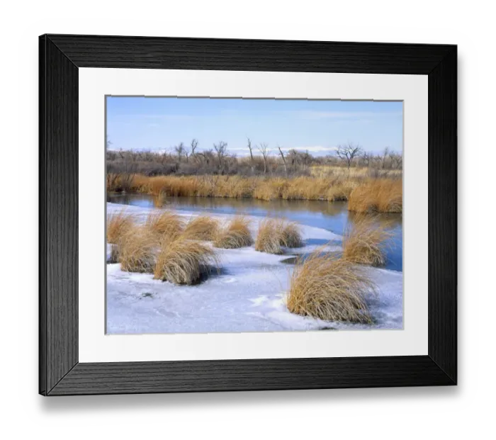 Framed Print : UTAH. USA. Frozen slough along Duchesne River in winter. Uinta Basin Framed Print : UTAH. USA. Frozen slough along Duchesne River in winter. Uinta Basin