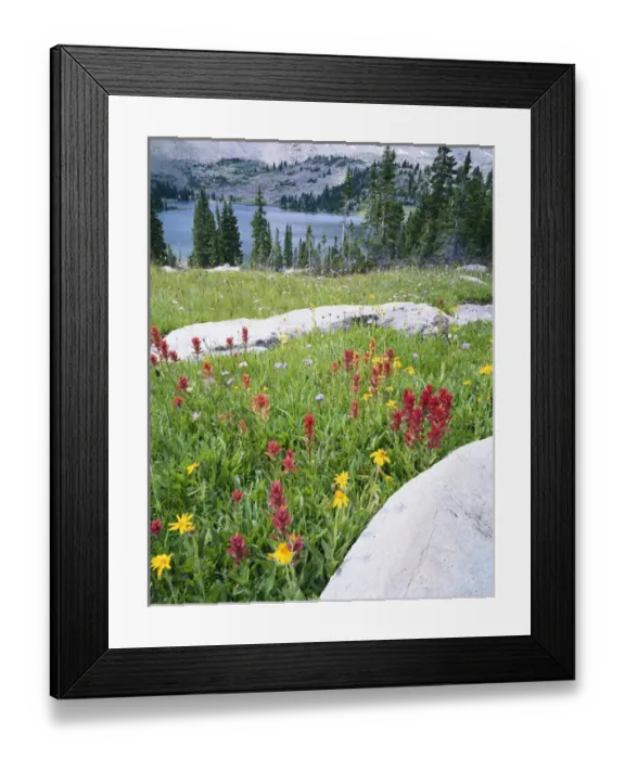 Framed Print : USA, Utah, Wasatch National Forest, High Uintas Wilderness, Uinta Mountains, Ryder Lake Framed Print : USA, Utah, Wasatch National Forest, High Uintas Wilderness, Uinta Mountains, Ryder Lake