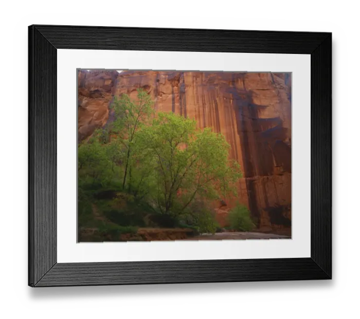 Framed Print : USA, Utah, Colorado Plateau, Paria Canyon-Vermilion Cliffs Wilderness, Box elder trees
