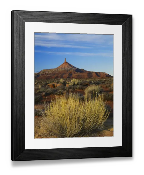 Framed Print : USA, Utah, Colorado Plateau, Rabbit brush and blackburn on flats below North Six-shooter Framed Print : USA, Utah, Colorado Plateau, Rabbit brush and blackburn on flats below North Six-shooter