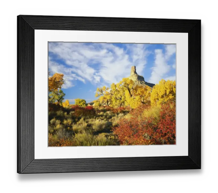 Framed Print : USA, Utah, View of Gunnison Butte and autumn trees