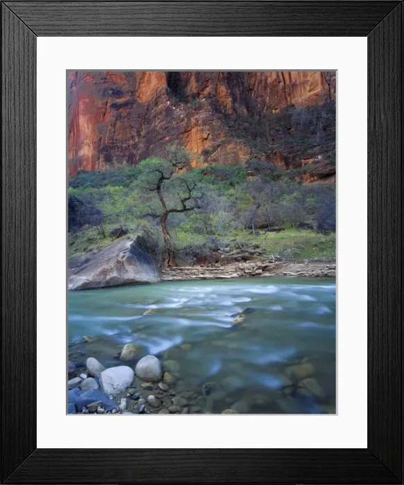 Framed Print : Zion National Park, Utah. USA. Virgin River & canyon wall in spring. Zion Canyon Framed Print : Zion National Park, Utah. USA. Virgin River & canyon wall in spring. Zion Canyon