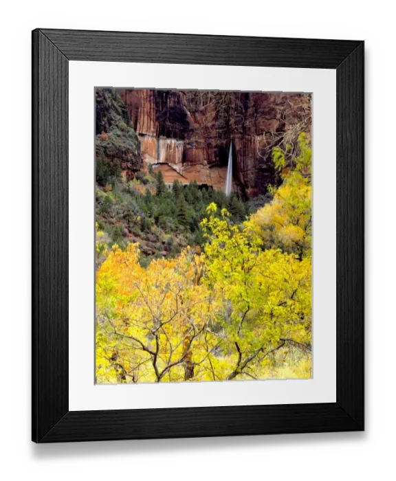Framed Print : Zion National Park, Utah. USA. Ephemeral waterfall pours out of slot in cliff during Framed Print : Zion National Park, Utah. USA. Ephemeral waterfall pours out of slot in cliff during