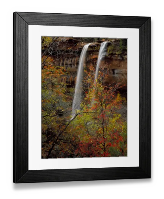 Framed Print : Zion National Park, Utah. USA. Waterfall, bigtooth maple (Acer grandidentatum), canyon wild grape Framed Print : Zion National Park, Utah. USA. Waterfall, bigtooth maple (Acer grandidentatum), canyon wild grape
