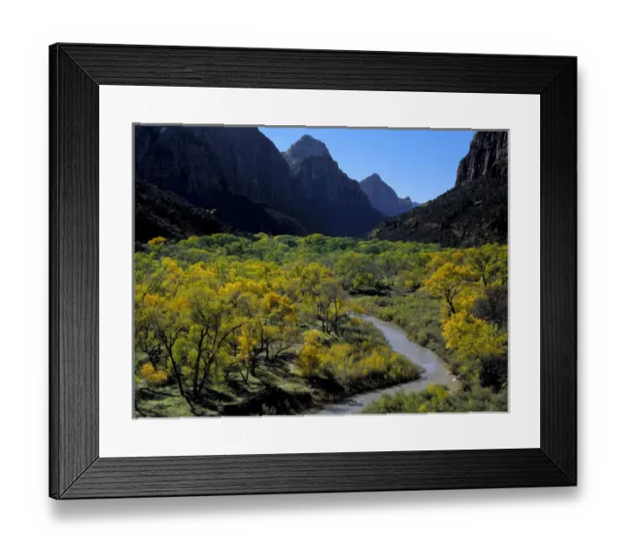 Framed Print : Zion National Park, Utah. USA. Cottonwoods and Virgin River in autumn. Zion Canyon