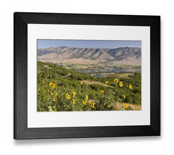Framed Print : NA, USA, Utah, Ogden. Pineview Reservoir in Ogden Valley provides recration