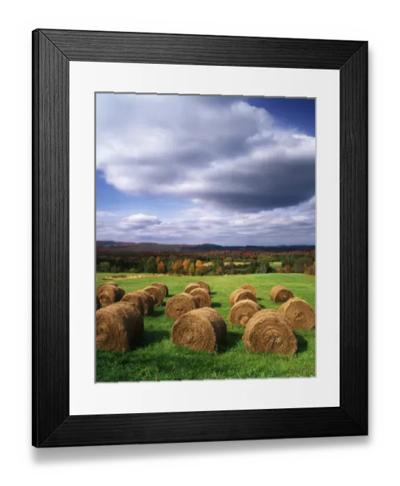 Framed Print : USA, Vermont, Westmore, Hay bales in field Framed Print : USA, Vermont, Westmore, Hay bales in field