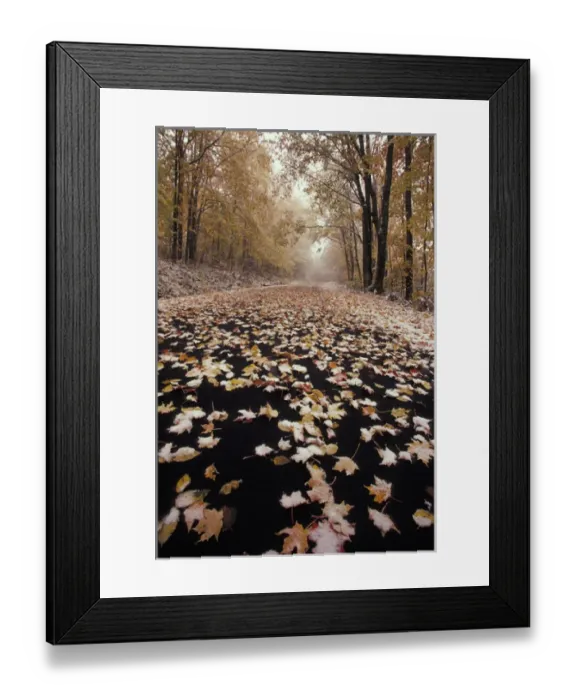 Framed Print : NA, USA, Vermont, near East Burke Fresh snow on Burke Mountain roadway Framed Print : NA, USA, Vermont, near East Burke Fresh snow on Burke Mountain roadway