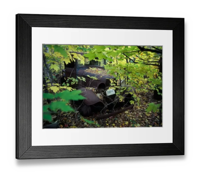 Framed Print : Rusty old Ford hidden in the back forests of Vermont Framed Print : Rusty old Ford hidden in the back forests of Vermont