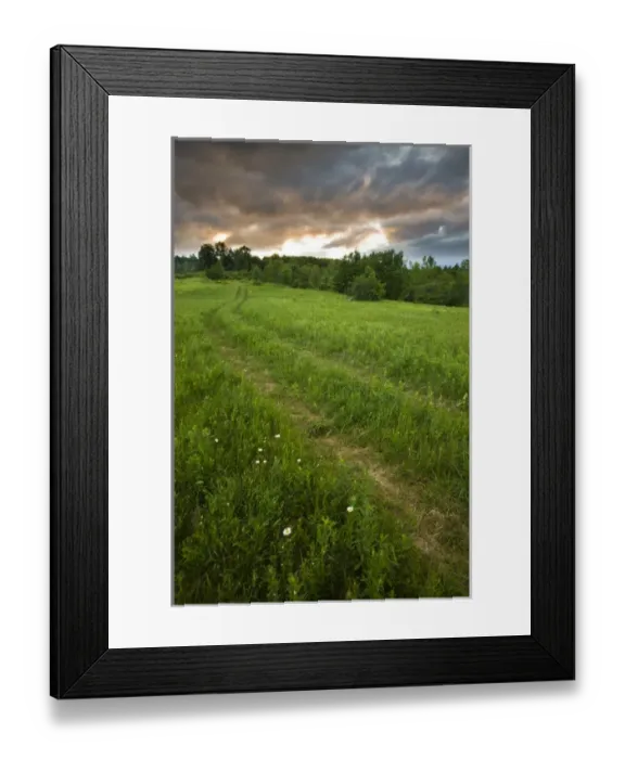 Framed Print : A farm road in Sabins Pasture in Montpelier, Vermont