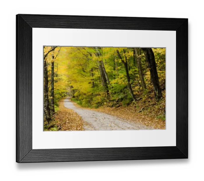 Framed Print : Wind blurs the fall colors along Kelly Stand Road in southern Vermont. Green Mountain Framed Print : Wind blurs the fall colors along Kelly Stand Road in southern Vermont. Green Mountain