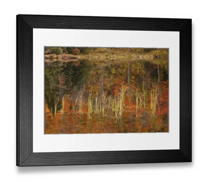 Framed Print : Autumn in Vermont