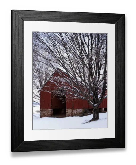 Framed Print : USA, Virginia, Fairfax County, Barn and maple after snowfall