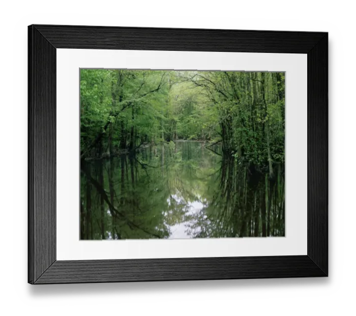 Framed Print : USA, Virginia, Isle of Wight County, The Blackwater River