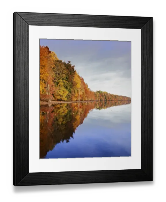 Framed Print : USA, Virginia, Great Dismal Swamp National Wildlife Refuge, Lake Drummond