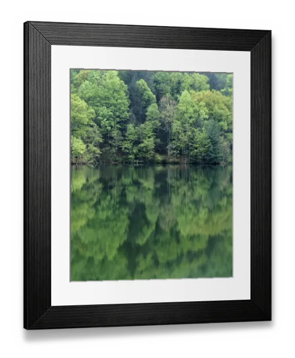 Framed Print : USA, Virginia, Blue Ridge Mountains, Reflections in Charlottesville Lake Framed Print : USA, Virginia, Blue Ridge Mountains, Reflections in Charlottesville Lake