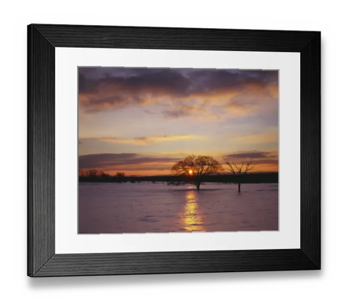 Framed Print : USA, Virginia, Frederick County, Sunrise after ice storm Framed Print : USA, Virginia, Frederick County, Sunrise after ice storm