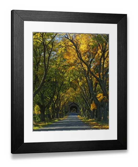 Framed Print : USA, Virginia, Shenandoah County, Meems Bottom Covered Bridge Framed Print : USA, Virginia, Shenandoah County, Meems Bottom Covered Bridge