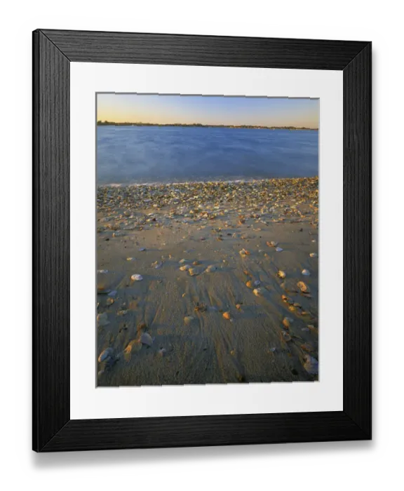 Framed Print : USA, Virginia, Chesapeak Bay, Shore at Sunset Framed Print : USA, Virginia, Chesapeak Bay, Shore at Sunset