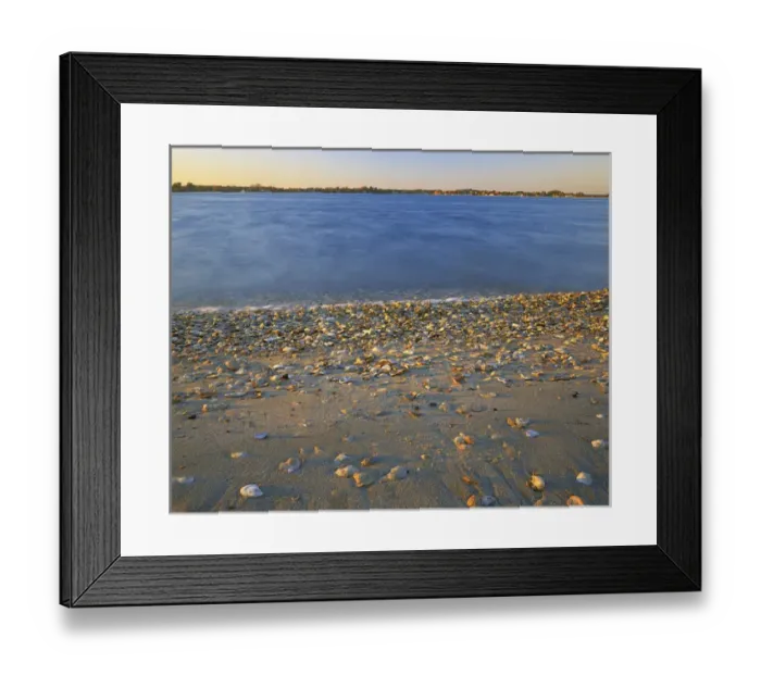 Framed Print : USA, Virginia, Chesapeak Bay, Shore at Sunset Framed Print : USA, Virginia, Chesapeak Bay, Shore at Sunset
