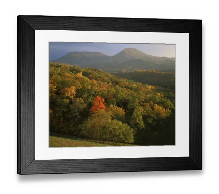 Framed Print : USA, Virginia, Jefferson National Forest Framed Print : USA, Virginia, Jefferson National Forest