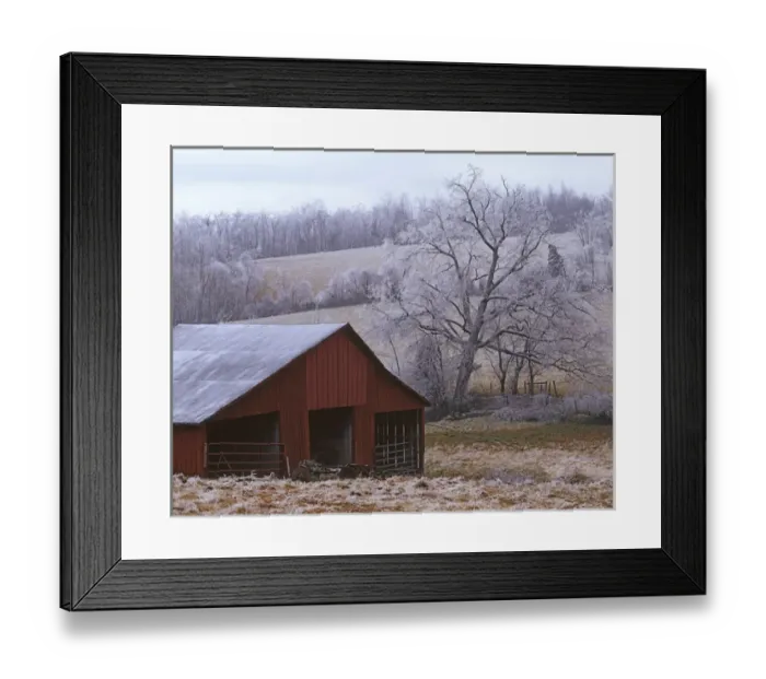 Framed Print : USA, Virginia, Augusta County, Barn and ice covered trees Framed Print : USA, Virginia, Augusta County, Barn and ice covered trees