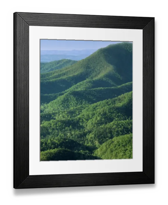 Framed Print : USA, Virginia, Jefferson National Forest Framed Print : USA, Virginia, Jefferson National Forest