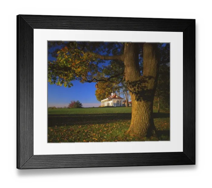 Framed Print : USA, Virginia, Fairfax County, Oak and Mt. Vernon