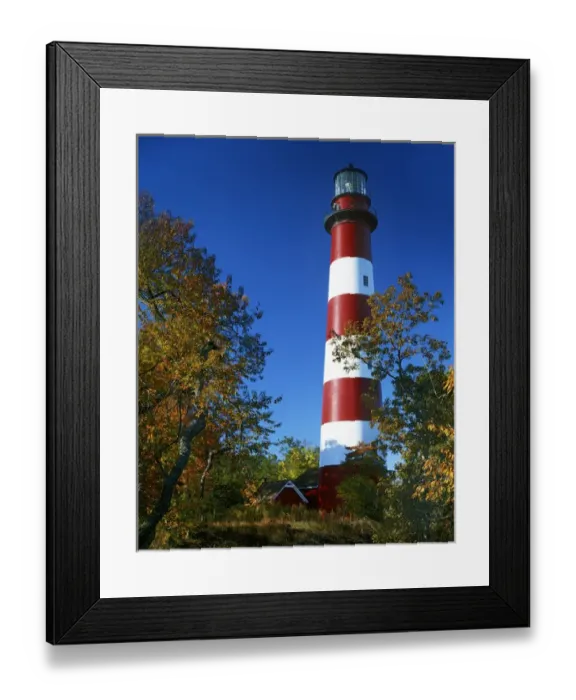 Framed Print : USA, Virginia, Assateague Island, Chincoteague National Wildlife Refuge, Assateague