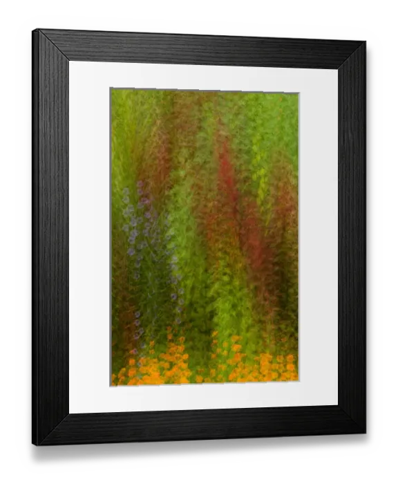 Framed Print : United States, Virginia, Vienna, Meadowlark Botanical Gardens Multiple exposure Framed Print : United States, Virginia, Vienna, Meadowlark Botanical Gardens Multiple exposure