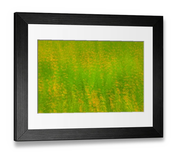 Framed Print : United States, Virginia, Arlington Multiple exposure of field of orange wildflowers