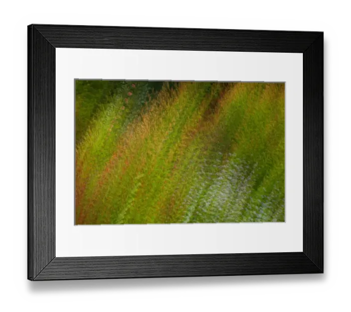Framed Print : United States, Virginia, Vienna, Meadowlark Botanical Gardens Multiple exposure Framed Print : United States, Virginia, Vienna, Meadowlark Botanical Gardens Multiple exposure