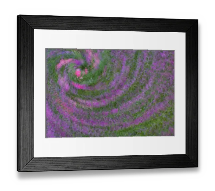 Framed Print : United States, Virginia, Arlington Multiple exposure swirl of purple petunias Framed Print : United States, Virginia, Arlington Multiple exposure swirl of purple petunias