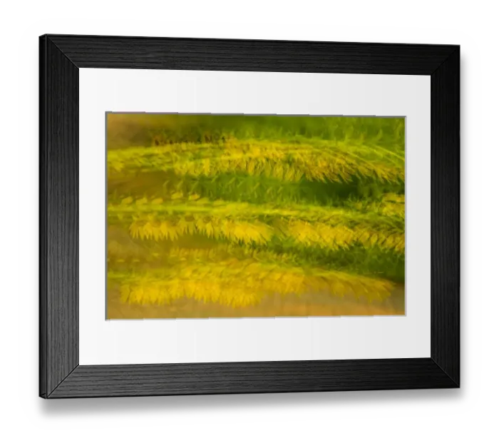 Framed Print : United States, Virginia, Alexandria, Green Spring Gardens Park Multiple exposure Framed Print : United States, Virginia, Alexandria, Green Spring Gardens Park Multiple exposure
