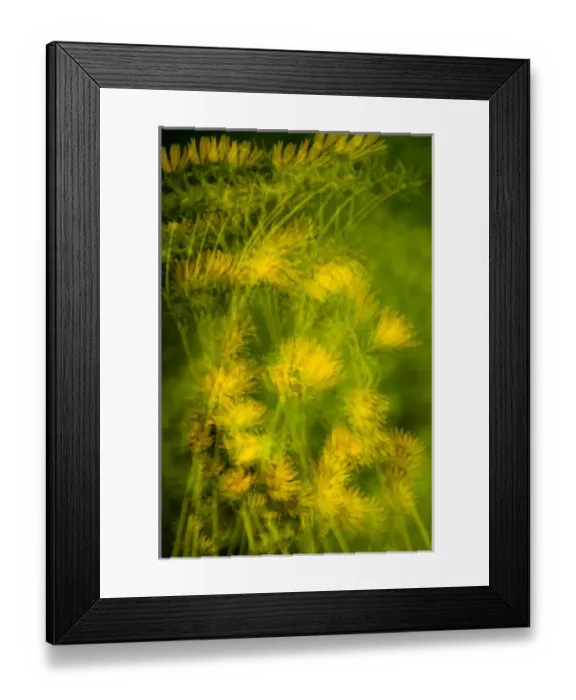 Framed Print : United States, Virginia, Alexandria, Green Spring Gardens Park Multiple exposure Framed Print : United States, Virginia, Alexandria, Green Spring Gardens Park Multiple exposure