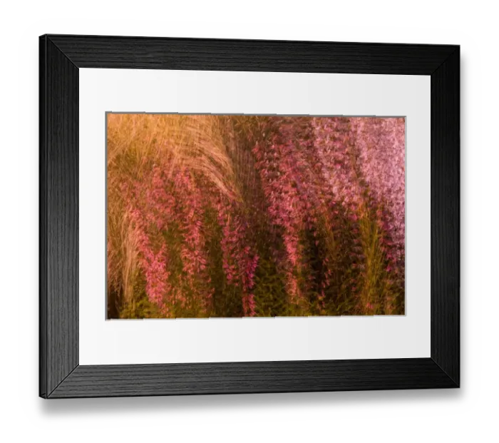 Framed Print : United States, Virginia, Alexandria, Green Spring Gardens Park Multiple exposure Framed Print : United States, Virginia, Alexandria, Green Spring Gardens Park Multiple exposure