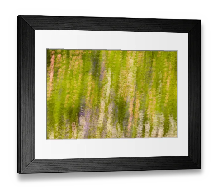 Framed Print : United States, Virginia, Alexandria, Green Spring Gardens Park Multiple exposure Framed Print : United States, Virginia, Alexandria, Green Spring Gardens Park Multiple exposure
