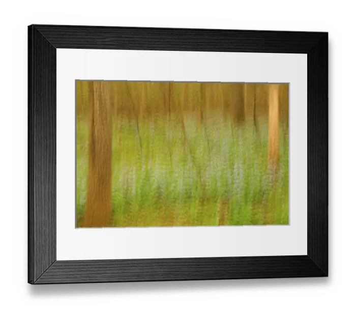 Framed Print : United States, Virginia, Manassas, Manassas National Battlefield Park, multiple exposure Framed Print : United States, Virginia, Manassas, Manassas National Battlefield Park, multiple exposure