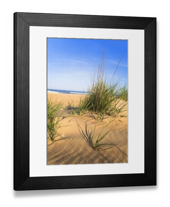 Framed Print : Virginia Beach, VA, USA - Sand patterned by blowing winds surround tufts of grass at the beach Framed Print : Virginia Beach, VA, USA - Sand patterned by blowing winds surround tufts of grass at the beach
