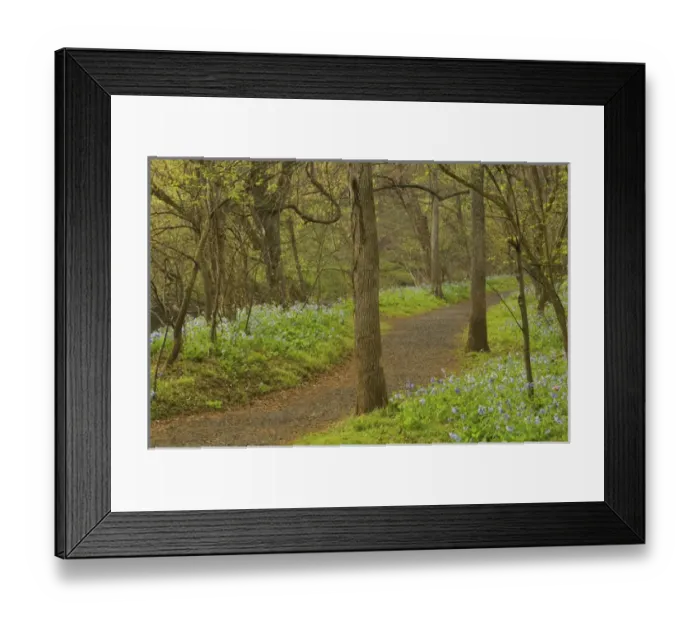Framed Print : United States, Virginia, Manassas, Manassas National Battlefield Park, path through Framed Print : United States, Virginia, Manassas, Manassas National Battlefield Park, path through